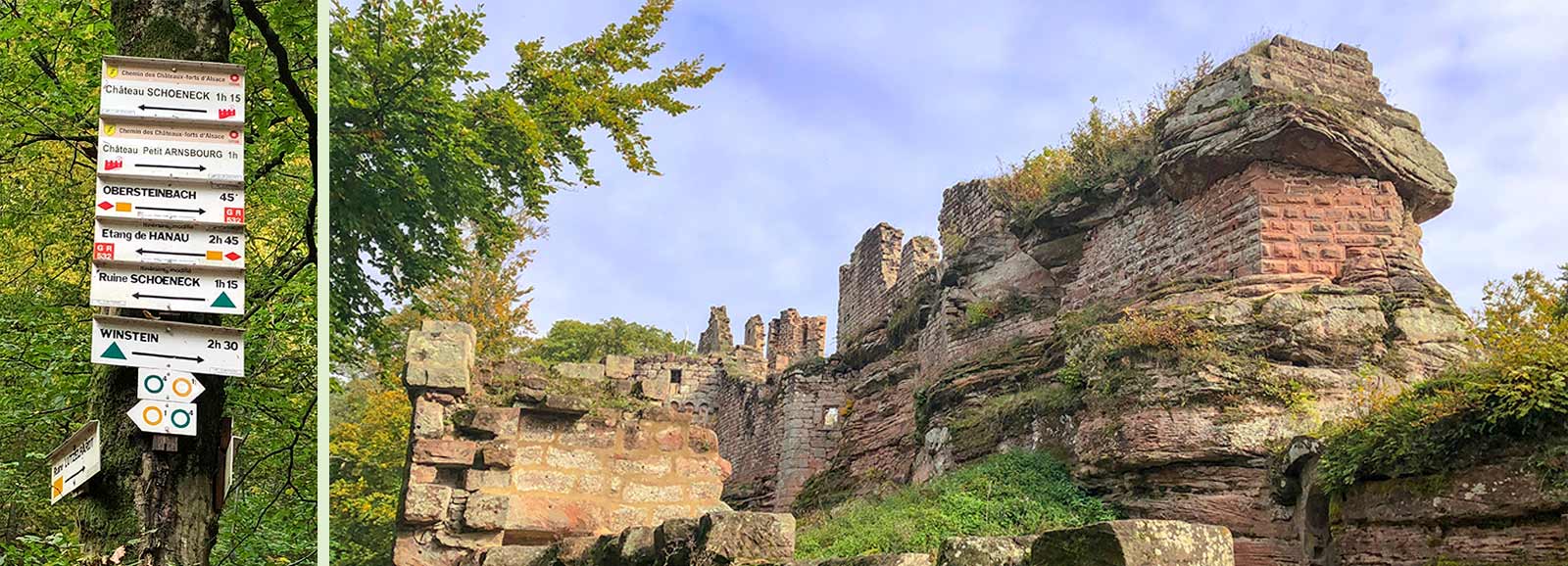 Burgruine Schöneck