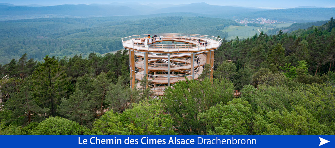 Le Chemin des Cimes Alsace