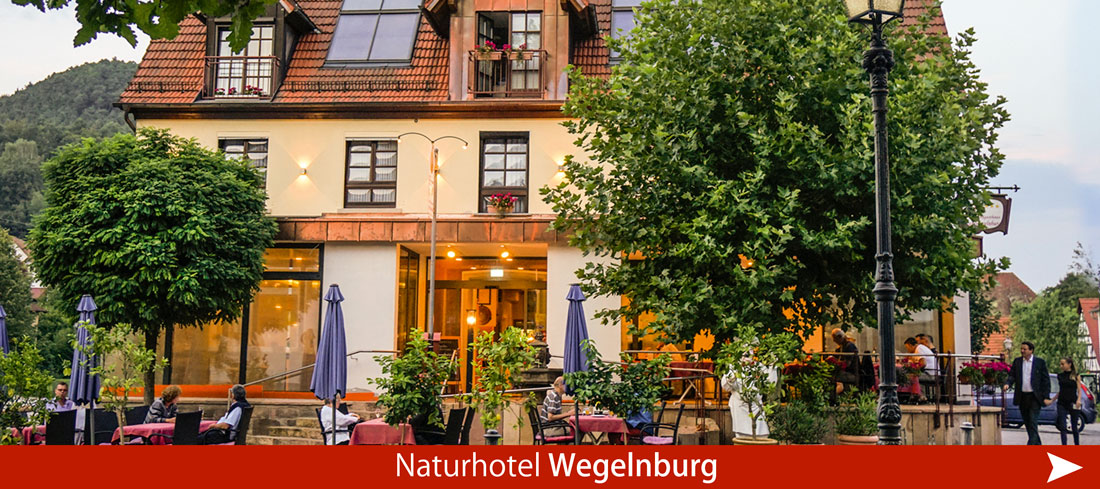 Naturhotel Wegelnburg